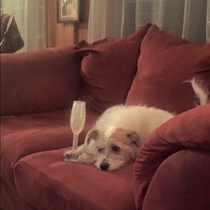 Meet your Posher, Katherine